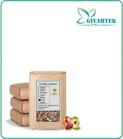 تصویر مغز فندق با پوست فله 