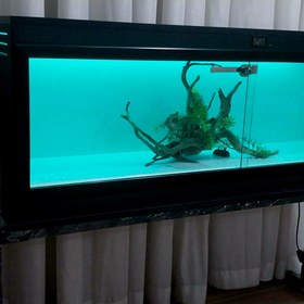 تصویر تراریوم RGB_MP1244 