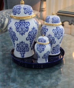 تصویر جینجرجار داماس 