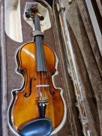 تصویر ویولون کارل هافنر 