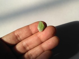 تصویر راف زبرجد (کد 231) 