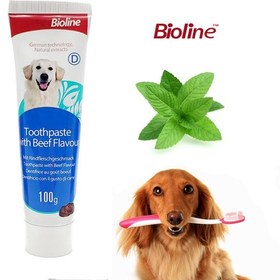 تصویر خمیر دندان سگ بایولاین طعم نعناع 100 گرم + مسواک انگشتی رایگان Bioline Dental Care Set for Dogs 100ml