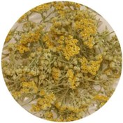 تصویر بو مادران بسته 50 گرمی 