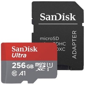 تصویر کارت حافظه microSDXC 256G 