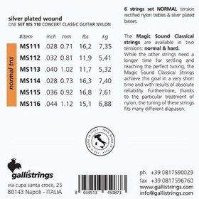 تصویر سیم گیتار کلاسیک گالی MS110 