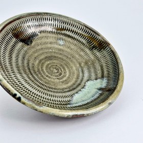 تصویر پلیت شیگاراکی 