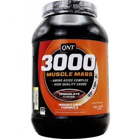 تصویر پودر ماسل مس ۳۰۰۰ کیو ان تی QTN Muscle Mass 3000