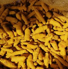 تصویر زردچوبه چارمینار هندی 