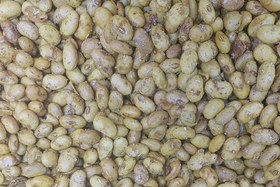 تصویر سویا نمکی گلپر 