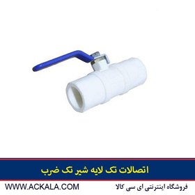 تصویر شیر تک ضرب 25 