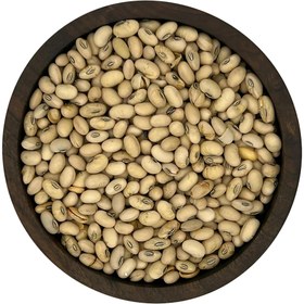 تصویر سویا آجیلی 