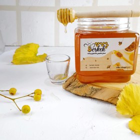 تصویر عسل طبیعی وتضمینی کوهستان (صاف شده) Natural and guaranteed mountain honey