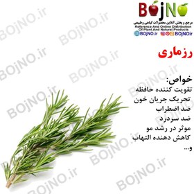 تصویر رزماری 100گرمی 