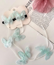 تصویر ریسه مو پروانه 