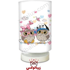 تصویر آباژور پایه کوتاه جغد دوقلوی دختر و پسر 