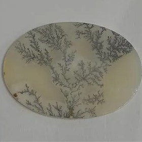 تصویر نگین شجر درشت کد 50 