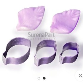 تصویر ست گل گلایل 