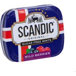 تصویر قرص خوشبو کننده دهان بدون قند با طعم نعنا و توت های وحشی جعبه فلزی 14 گرم اسکاندیک 