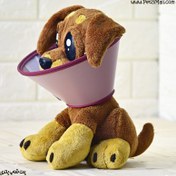 تصویر قلاده الیزابت سگ و گربه سایز ۶ چسب دار رنگ تصادفی مناسب گربه برند دنیل کد ۵۵۳ 