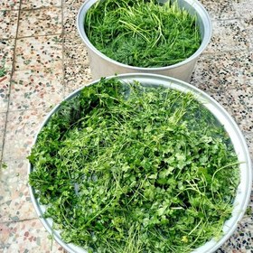 تصویر سبزی خورشتی آبپز شده خوزستان خوش عطر و خوش طعم(1 کیلو گرم) 