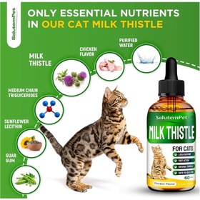 تصویر مکمل درمانی و ساپورت کننده کبد آمریکا Salutempet milk thistle for cats kidney support