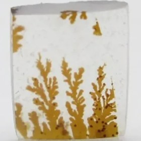 تصویر سنگ شجر کد 2297 