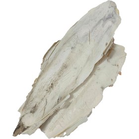 تصویر کف دریا - 100 گرم 