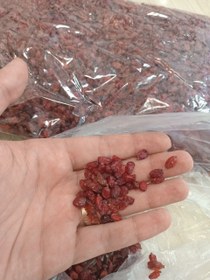 تصویر زرشک پفکی (250 گرم) Puffy Barberry 250 gr