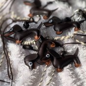 تصویر چارم بگ کد ۱۵۸ - قهوه ای 