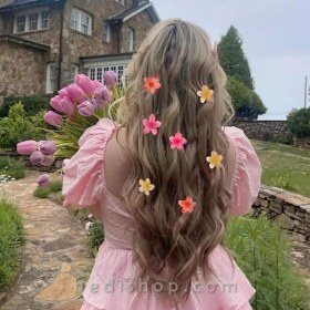 تصویر پک دو عددی کلیپس پینترستی پلومریا وارداتی 