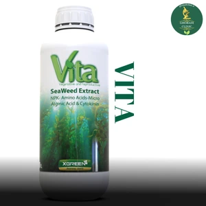 تصویر فروشگاه داروخانه گیاه پزشکی قبادی