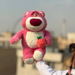 تصویر عروسک خرس لاتسو 