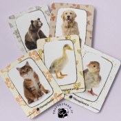 تصویر فلش کارت حیوانات 