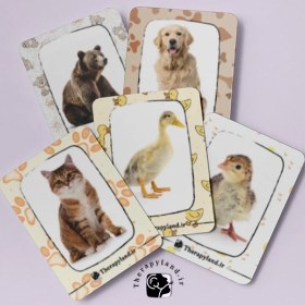 تصویر فلش کارت حیوانات 