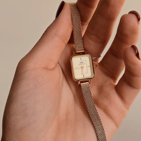 تصویر دنیل مینی نباتی رزگلد 