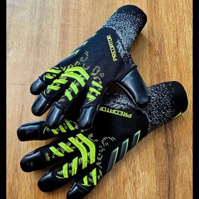 تصویر پردیتور مشکی 