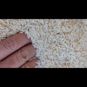 تصویر برنج طارم هاشمی امساله 10 کیلویی الک نشده 