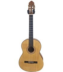 تصویر گیتار رودریگز 