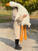 تصویر غاز بالشتی 