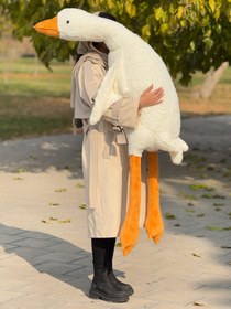 تصویر غاز بالشتی 