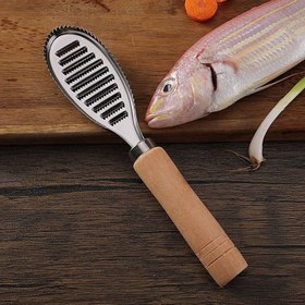 تصویر پولک گیر فلس گیر ماهی شنگیا 