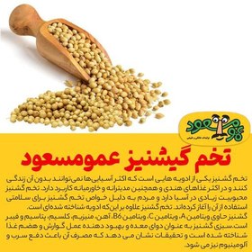 تصویر تخم گیشنیز درجه یک عمومسعود بسته 100 گرمی 