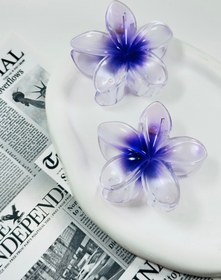 تصویر کلیپس پلومریای شفاف - بنفش 