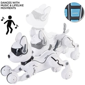تصویر ربات کنترلی سگ 
