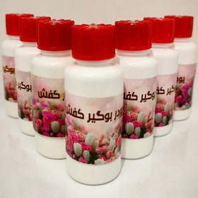 تصویر پودر بوگیر کفش 2 عددی 