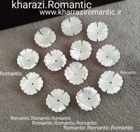 تصویر صدف مدل گل 