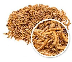 تصویر کرم میل ورم 