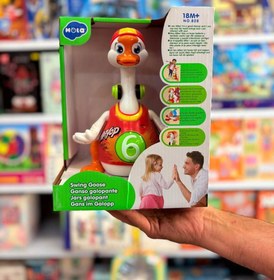 تصویر غاز رقصان هولا 