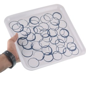 تصویر سینی ایکیا مدل 50425044 