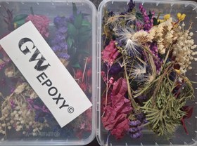 تصویر گل خشک 